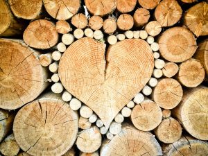 Logs of wood with a heart shaped center